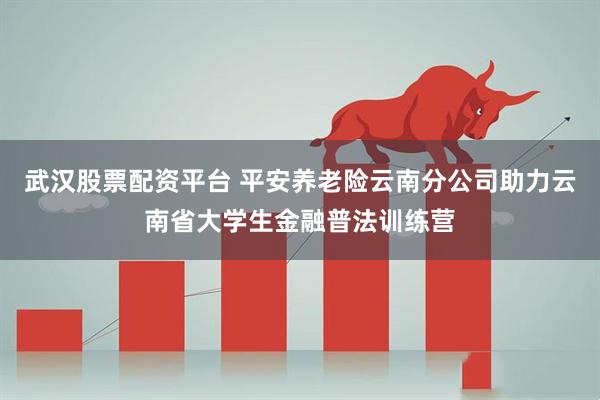 武汉股票配资平台 平安养老险云南分公司助力云南省大学生金融普法训练营