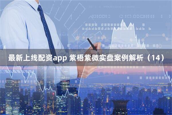 最新上线配资app 紫梧紫微实盘案例解析（14）