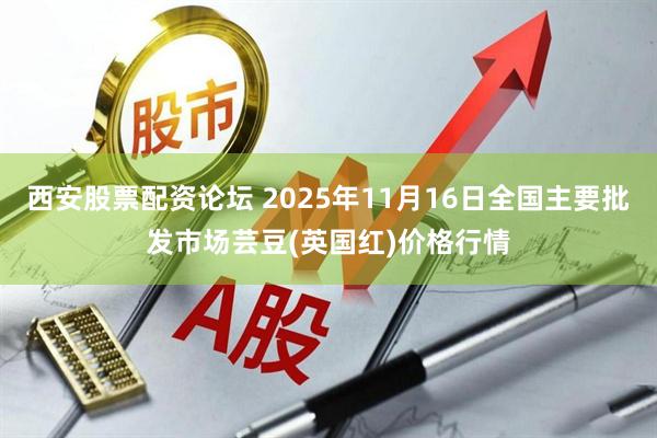 西安股票配资论坛 2025年11月16日全国主要批发市场芸豆(英国红)价格行情
