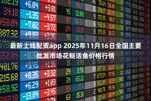 最新上线配资app 2025年11月16日全国主要批发市场花鲢活鱼价格行情