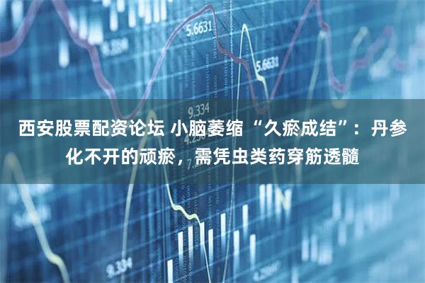 西安股票配资论坛 小脑萎缩 “久瘀成结”：丹参化不开的顽瘀，需凭虫类药穿筋透髓