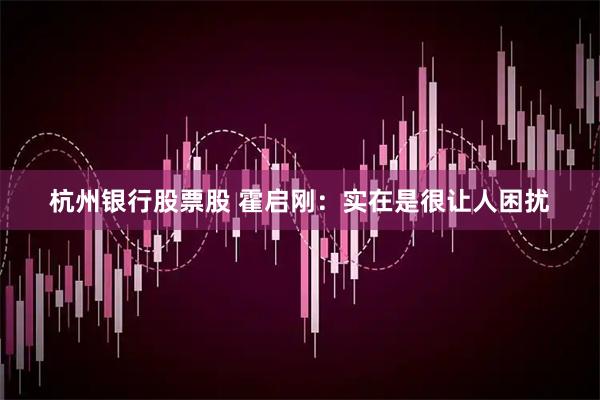 杭州银行股票股 霍启刚：实在是很让人困扰