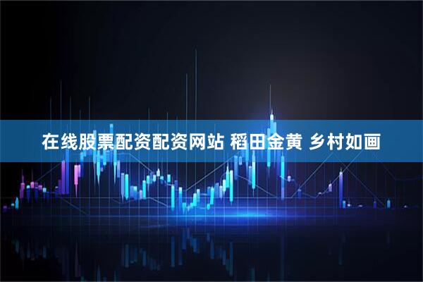 在线股票配资配资网站 稻田金黄 乡村如画